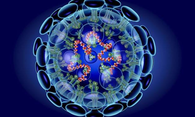 ''L'epidemia rallenta, il picco è vicino''. Parla un virologo del Cnr