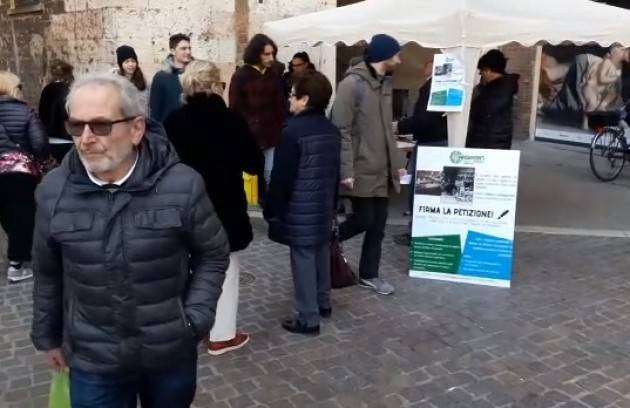 Agostino Boschiroli (Confesercenti ) Stiamo raccogliendo firme per salvaguardare  il commercio di vicinato a Cremona (Video G.Carlo Storti)