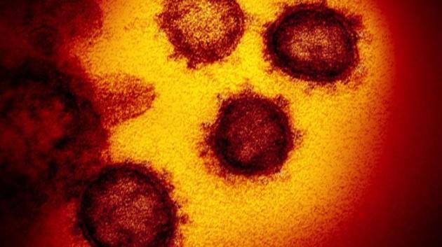 Coronavirus, sedicicontagiati. 14 in Lombardia e 2 sono in Veneto. Nuovi 8 casi a Codogno, 5 operatori sanitari