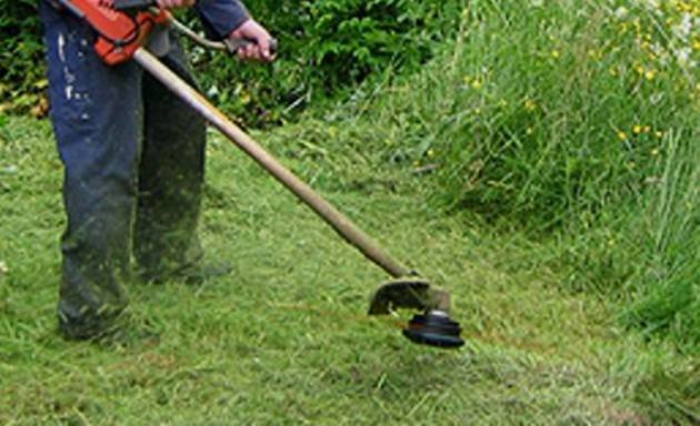 Cremona Iniziati oggi gli sfalci dell’erba in varie zone della città