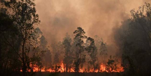 In Australia gli incendi sono stati molto peggiori di qualsiasi previsione