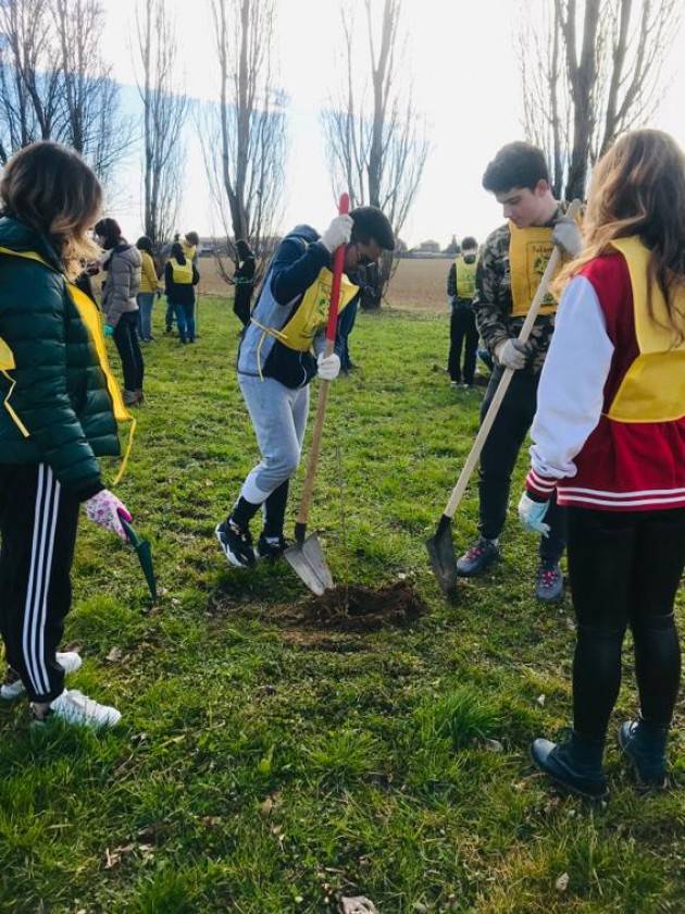 BERGAMO: 100 ALBERI NEL QUARTIERE BOCCALEONE