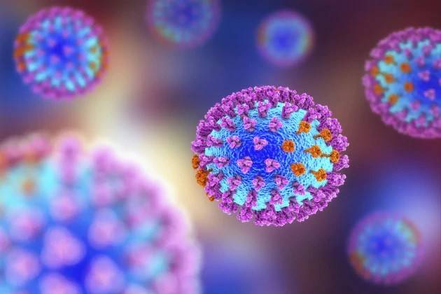 Panico coronavirus in Italia . In morti diretti per ‘influenza normale’ sono una media di 460 all’anno