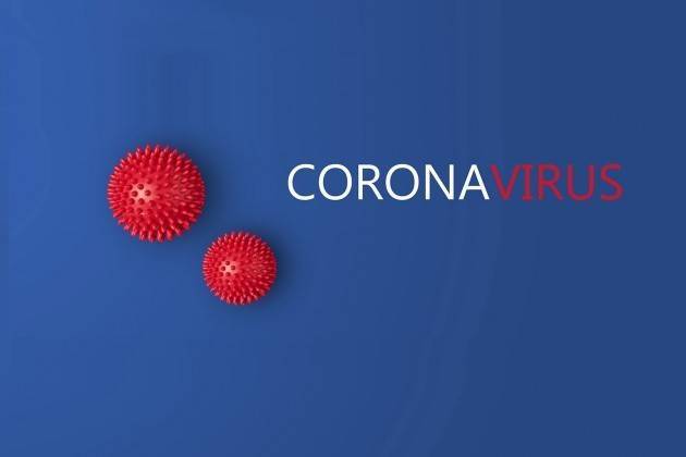 ADUC Stati Uniti d'Europa, Governo e Coronavirus. Whatever it takes