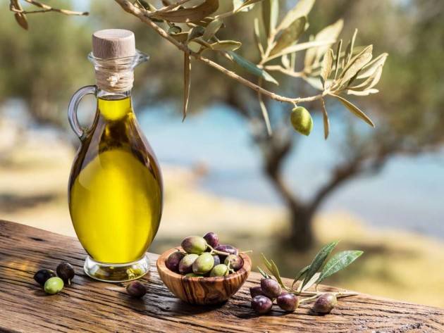 CNR: l’olio di oliva extravergine fa bene al cervello