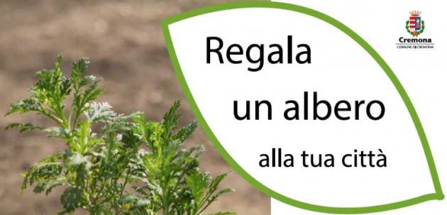 Cremona Regala un albero alla tua città, in settimana saranno messe a dimora altre 15 piante