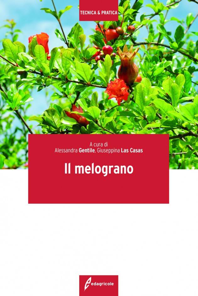 EDAGRICOLE IL MELOGRANO di Alessandra Gentile e Giuseppina Las Casas