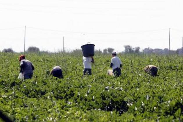 Coronavirus, quando i migranti servono. Coldiretti: «1/4 dei raccolti a rischio senza stagionali»