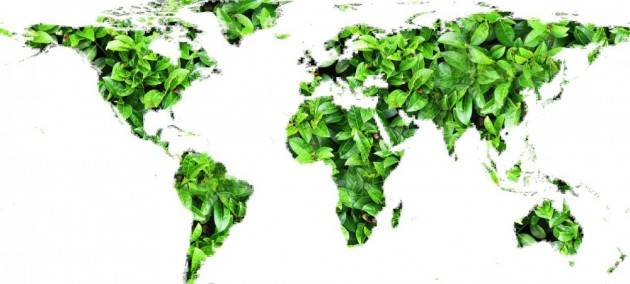 Quando la politica ambientale ha effetti collaterali indesiderati