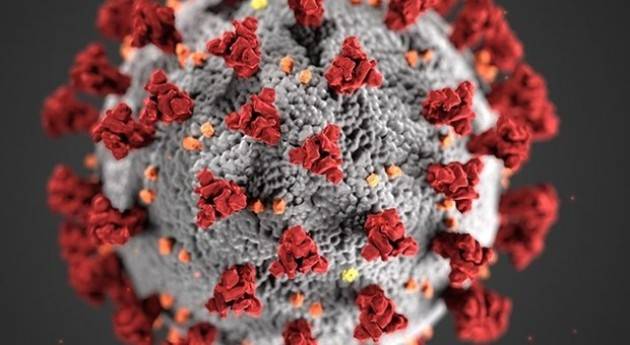 LNews-CORONAVIRUS, ASSESSORE CAPARINI REPLICA A MINISTRO BOCCIA: FINITO IL TEMPO DI ASPETTARE