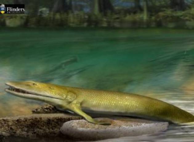 Un antico fossile di pesce rivela l’origine evolutiva della mano umana - VIDEO