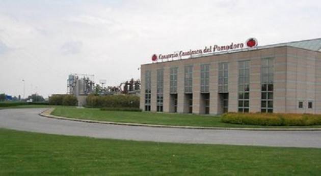 Finanziamento da 160 milioni di euro per la crescita del Consorzio Casalasco del Pomodoro