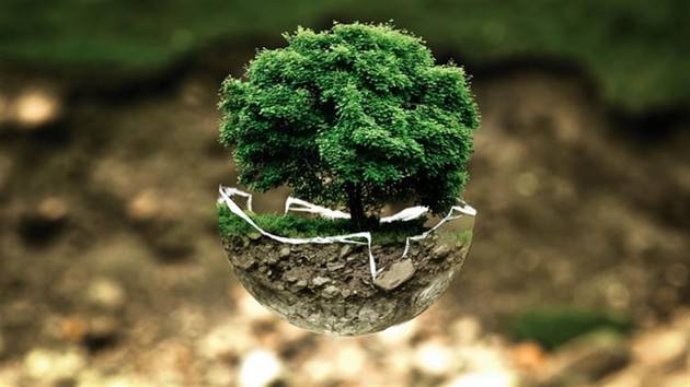 Di fronte alle pandemie, le scienze ecologiche sono più necessarie che mai