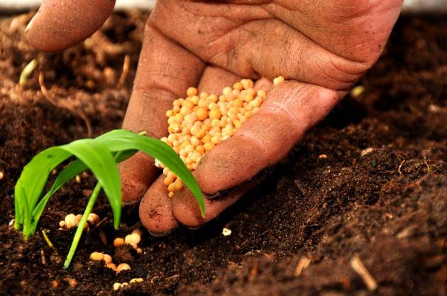 LNews-CORONAVIRUS, ROLFI: SU COMPARTO AGRICOLO MISURE TROPPO DEBOLI, GOVERNO ASCOLTI TERRITORI