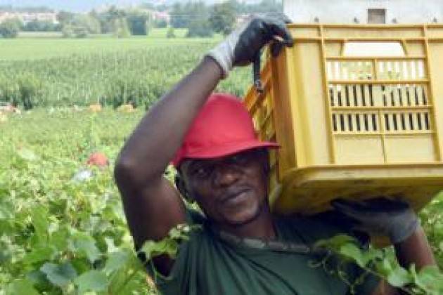 600 mila clandestini da regolarizzare