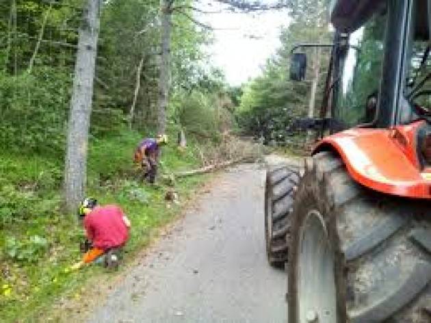 Coronavirus, via libera alla manutenzione del bosco