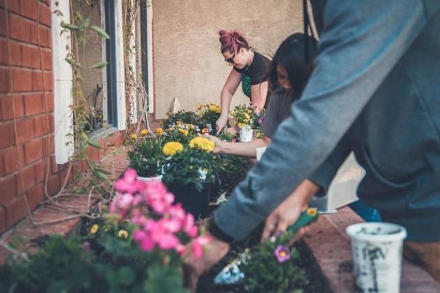 Vendita al dettaglio di fiori e piante, “positivo il chiarimento della Regione: ora è possibile riavviare le attività”