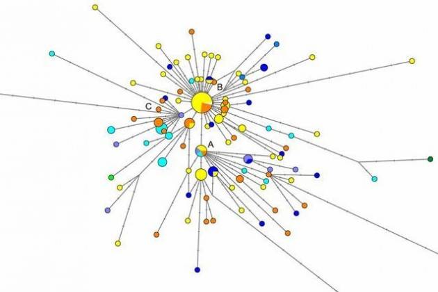 Ci sono 3 tipi di coronavirus nel mondo: come è mutato e si è diffuso
