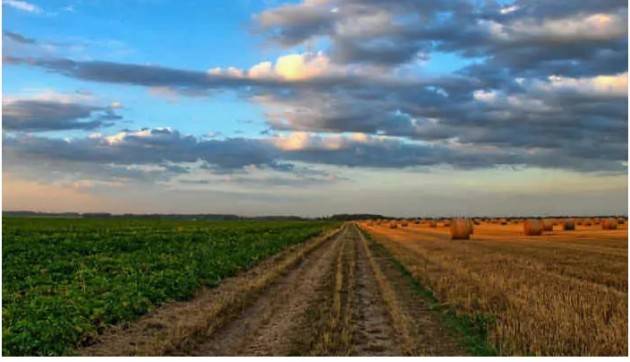 Legambiente Cremona: gli agricoltori non sono i nostri nemici  ma l’allevamento intensivo non è più sostenibile