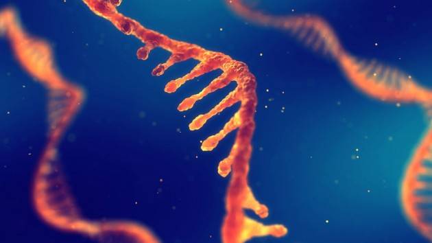 Rna coronavirus in acque scarico di Roma e Milano