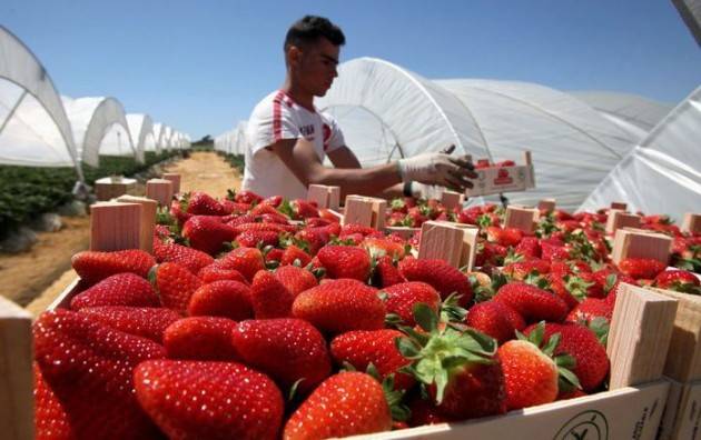 Pianeta migranti Cremona  Regolarizzare le persone non la forza lavoro