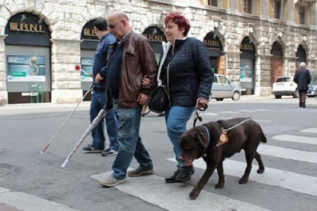 Coronavirus e disabilità: l'appello dell'Unione Italiana Ciechi e Ipovedenti di Cremona