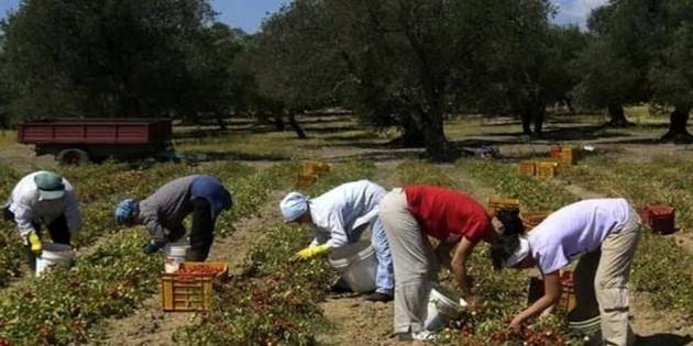 Cgil Toscana Lavoratori ‘Regolarizzarli subito’