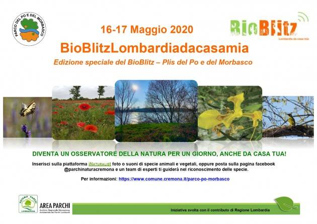 Cremona Quest'anno il Bioblitz Lombardia è ‘Da casa mia’ Il 16 e 17 modalità social