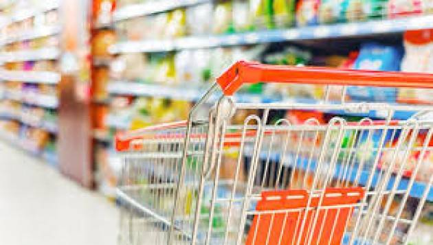  Istat: sale il carrello della spesa, cala il fatturato dell’industria