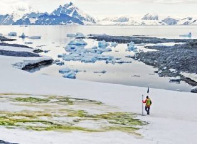 Neve verde sull’Antartide - VIDEO