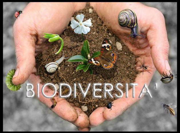 Arrestare perdita biodiversità per un sistema alimentare sano e sostenibile