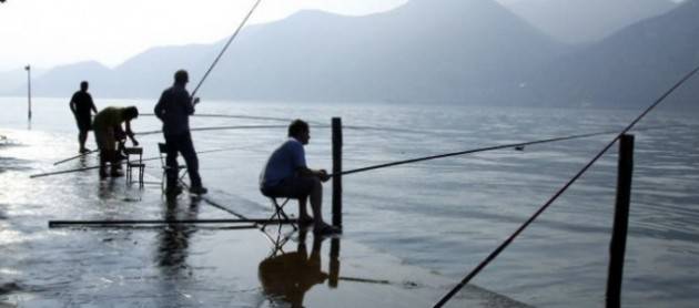 LNews-PESCA PROFESSIONALE LAGO DI COMO, ROLFI: AL VIA GARA PER INDAGINE SU CALO COREGONI. L'AFFIDAMENTO SARA' BIENNALE