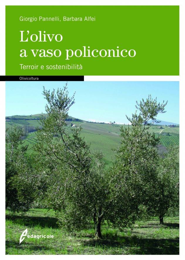 Edagricole  L'OLIVO A VASO POLICONICO Terroir e sostenibilità di Giorgio Pannelli e Barbara Alfei