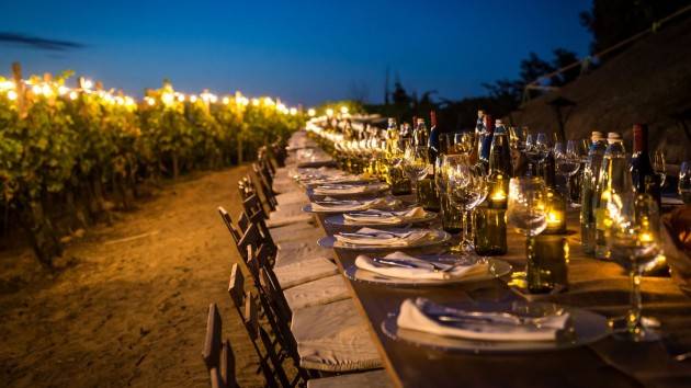 Dal picnic in vigna al menù digitale: le idee contadine per la ripartenza