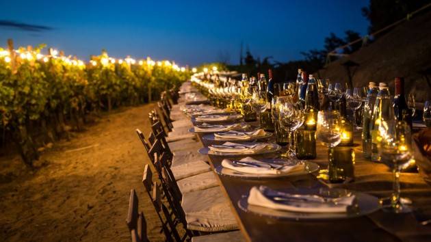 Dal picnic in vigna al menù digitale: le idee contadine per la ripartenza