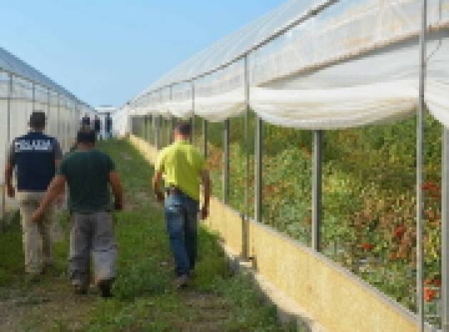 Emersione dei rapporti di lavoro