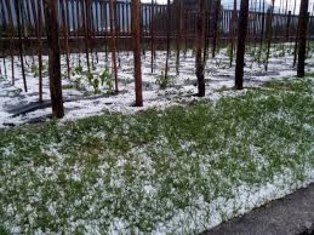 Maltempo, bombe di grandine su Monza Brianza e Milanese