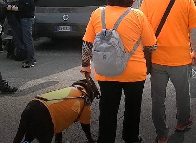 “Liberi di muoverci”, l'appello di Unione Italiana Ciechi e Ipovedenti di Cremona al Comune