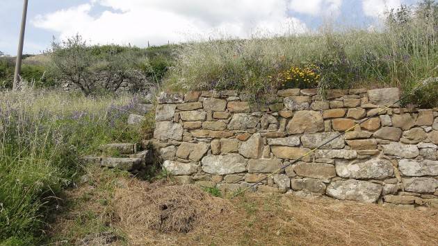 LNews-MONTAGNA, DA REGIONE 3 MILIONI DI EURO PER MANUTENZIONE  E MURETTI A SECCO