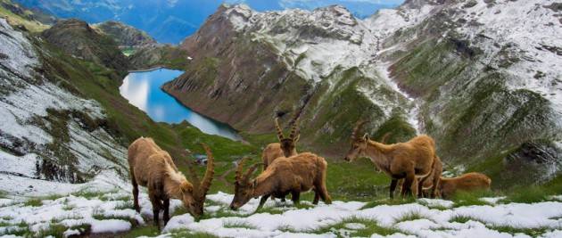 LNews-GIORNATA DELLA MONTAGNA, SERTORI: TERRITORI IN QUOTA SONO AL CENTRO DELLE POLITICHE REGIONALI