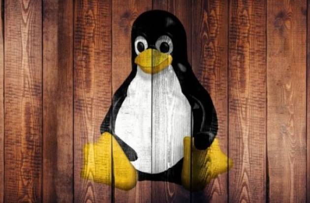 Zeus Razzismo: via i termini blacklist, master e slave dal kernel Linux