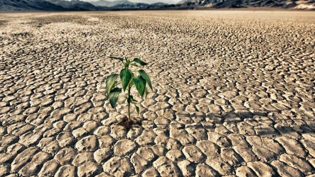 In Italia la peggiore siccità degli ultimi 60 anni