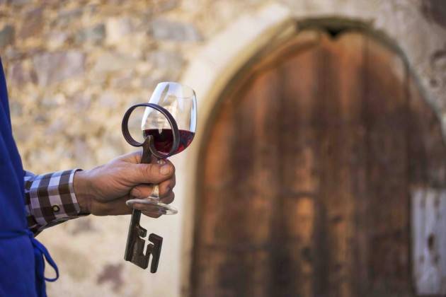 L’uva e i masi Gallo Rosso