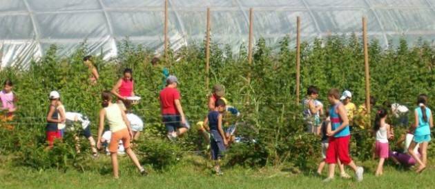 Fattorie sociali, cortometraggio che insegna il rispetto per la natura