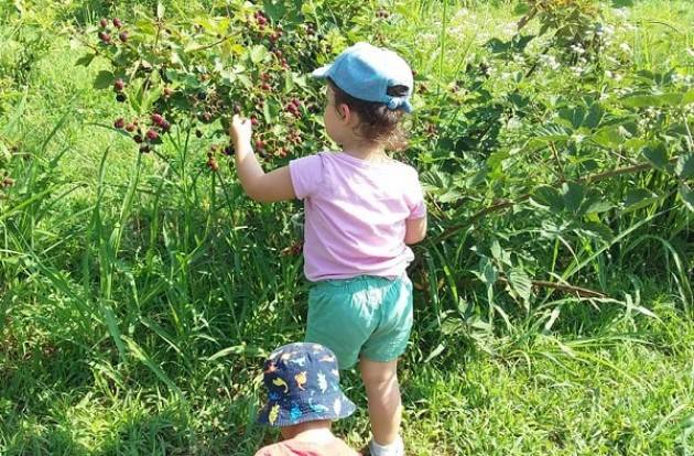 Per chi suona la campanella: primo giorno di scuola all’agrinido Piccoli Frutti di Cremona