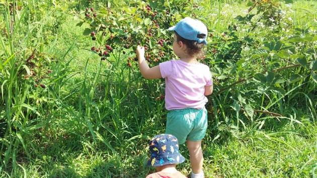 Coldiretti Per chi suona la campanella… primo giorno di scuola all’agrinido Piccoli Frutti di Cremona