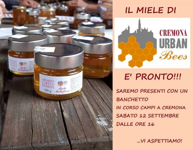 Cari Amici delle Api, il miele di Cremona Urban Bees è pronto!!!