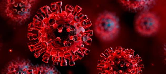 Nuovo record di casi in un giorno, 29 milioni i contagi nel mondo