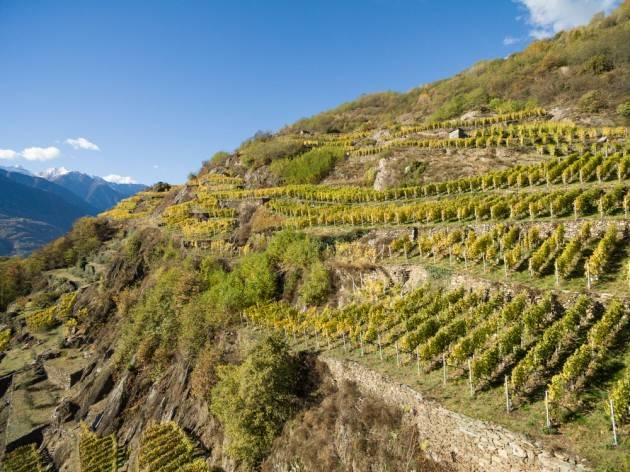 LombNews Montagna, boom di domande per bando terrazzamenti