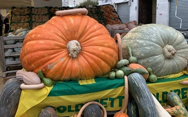 Coldiretti Crema, domenica giornata della Zucca al Mercato di Campagna Amica